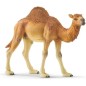Schleich Wild Life Dromedaari