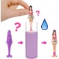 Barbie Mini Barbieland Color Reveal nukke (lajitelma)